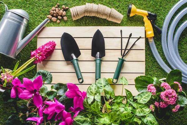Understanding Fertilizers: The Key to a Thriving Garden